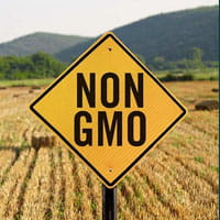 non gmo